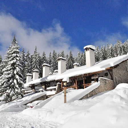 Holiday Village Kochorite Pamporovo Extérieur photo